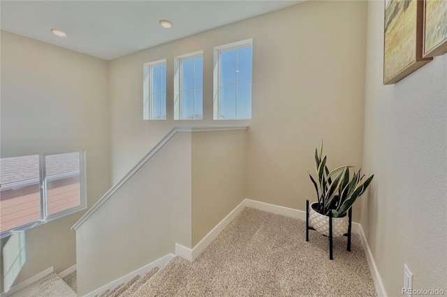 interior space with carpet