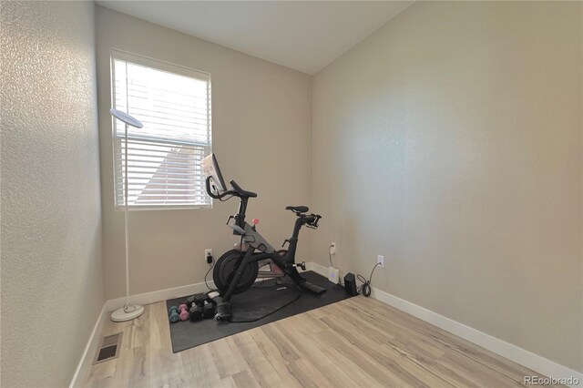 workout room featuring hardwood / wood-style floors