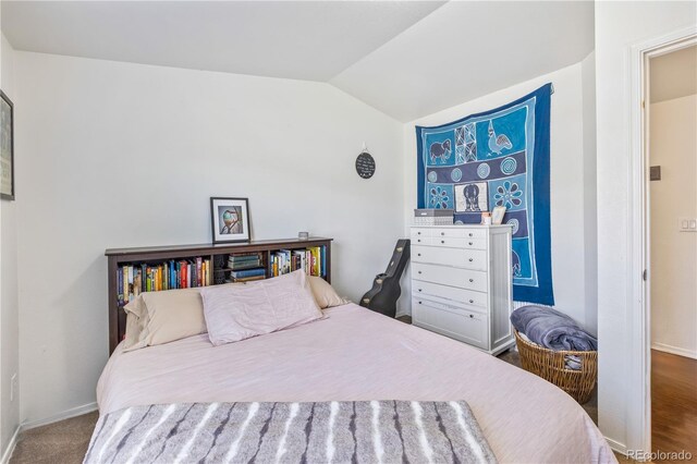 120 Pike Peak Pl, Dillon, CO 80435 - photo 11