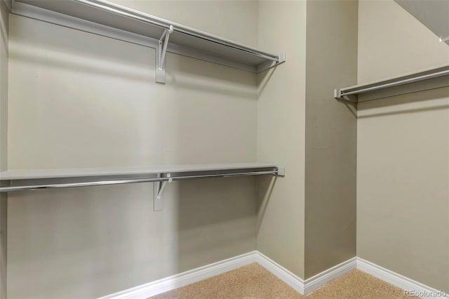 spacious closet featuring carpet floors
