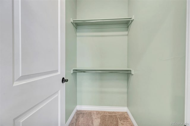 walk in closet featuring carpet floors