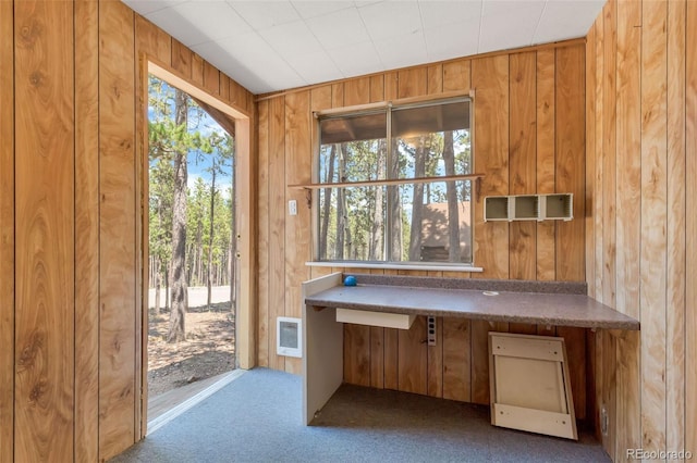 interior space featuring plenty of natural light, carpet, and wood walls