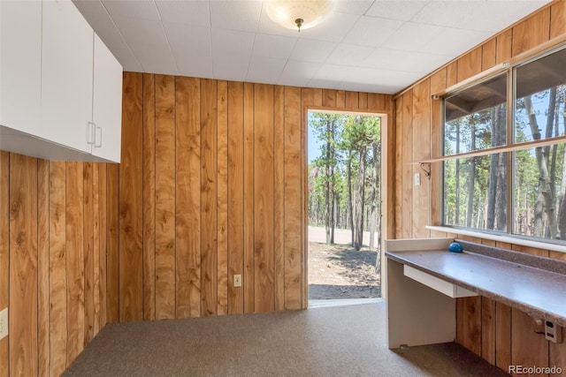 interior space with carpet and wood walls