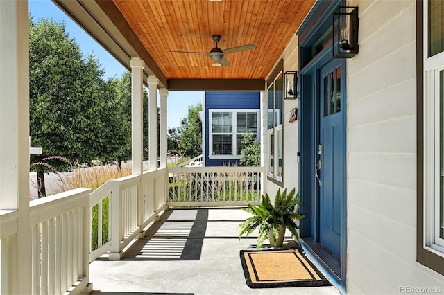3155 Geneva St, Denver, CO 80238 - photo 3