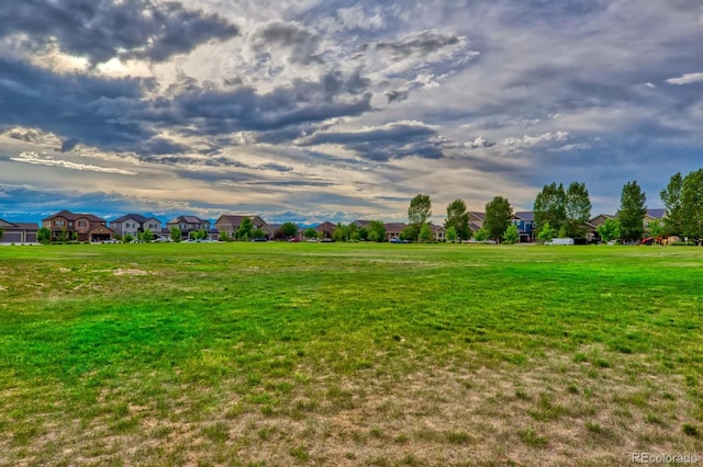 view of property's community with a yard