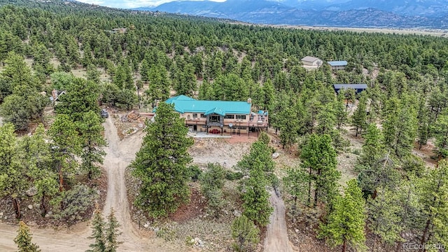 18165 Alta Vista Dr, Buena Vista, CO 81211 - photo 49