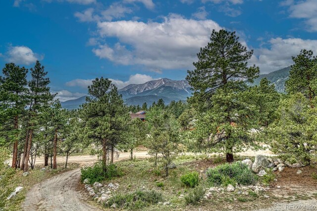 18165 Alta Vista Dr, Buena Vista, CO 81211 - photo 3