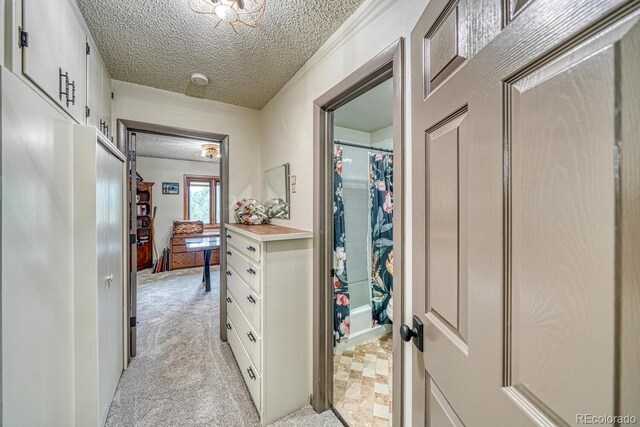 18165 Alta Vista Dr, Buena Vista, CO 81211 - photo 29