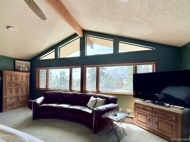 18165 Alta Vista Dr, Buena Vista, CO 81211 - photo 23