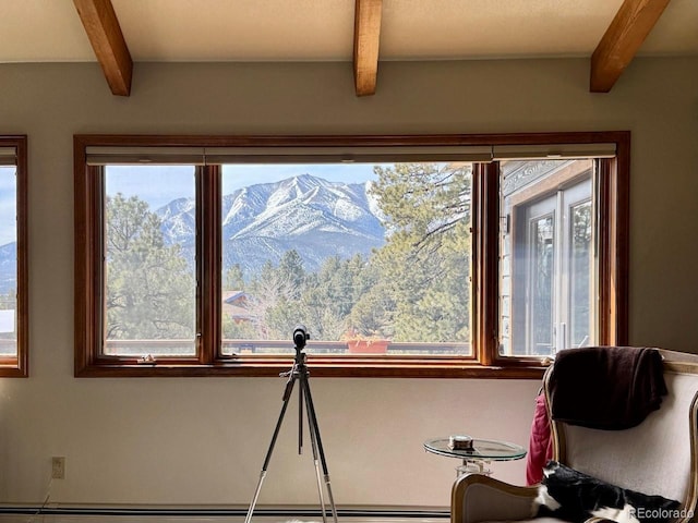 18165 Alta Vista Dr, Buena Vista, CO 81211 - photo 6