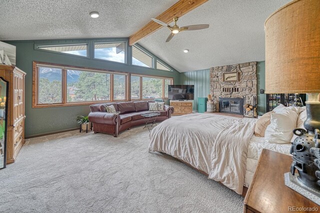 18165 Alta Vista Dr, Buena Vista, CO 81211 - photo 19