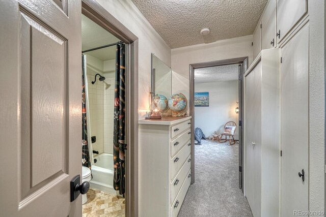 18165 Alta Vista Dr, Buena Vista, CO 81211 - photo 25