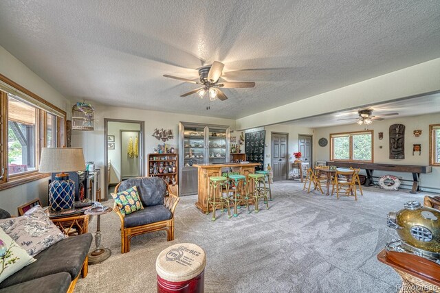 18165 Alta Vista Dr, Buena Vista, CO 81211 - photo 38