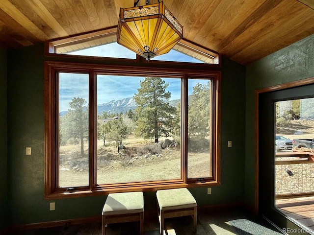18165 Alta Vista Dr, Buena Vista, CO 81211 - photo 42
