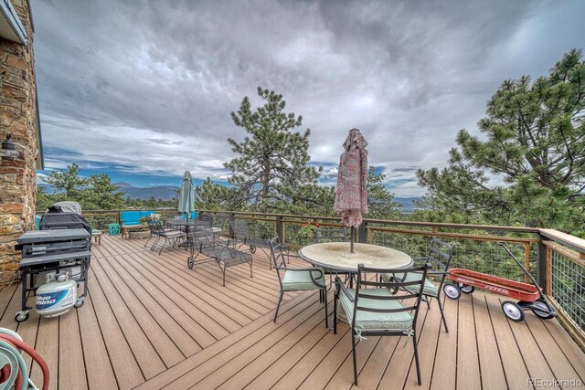 18165 Alta Vista Dr, Buena Vista, CO 81211 - photo 46