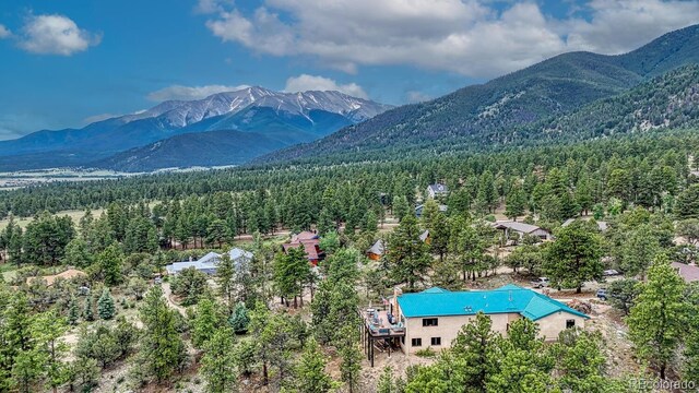18165 Alta Vista Dr, Buena Vista, CO 81211 - photo 48