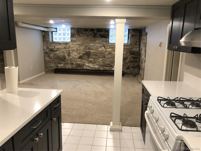 2335 Stout St, Denver, CO 80205 - below grade area featuring light carpet and plenty of natural light