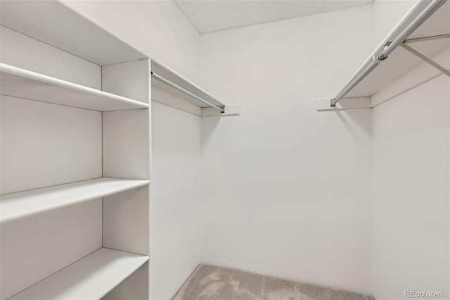 222 Wright St Unit 302, Lakewood, CO 80228 - photo 9
