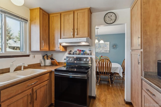 kitchen featuring a notable chandelier, under cabinet range hood, wood finished floors, a sink, and electric range oven