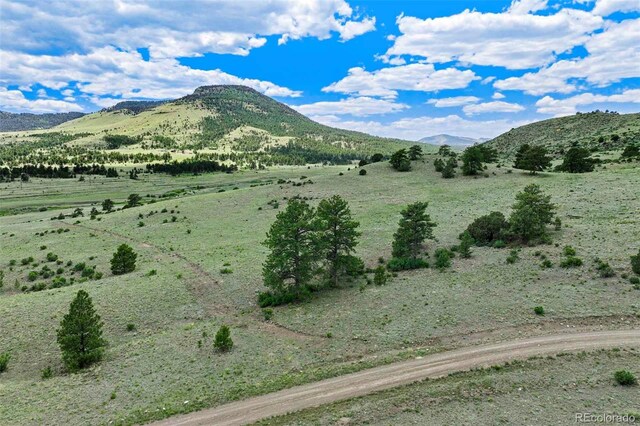 TRACT3 County Road 102, Guffey, CO 80820 - photo 1