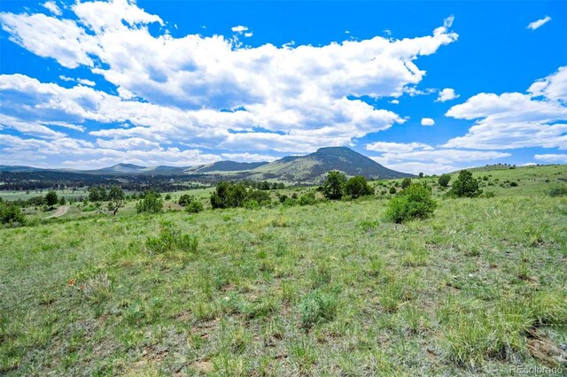 TRACT3 County Road 102, Guffey, CO 80820 - photo 2