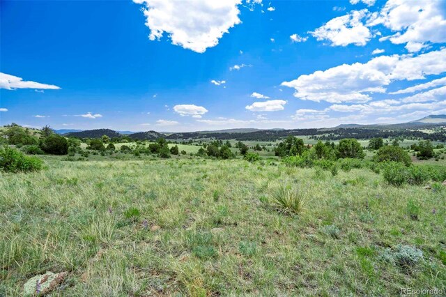 TRACT3 County Road 102, Guffey, CO 80820 - photo 4
