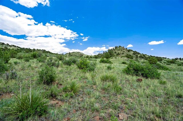 TRACT3 County Road 102, Guffey, CO 80820 - photo 5