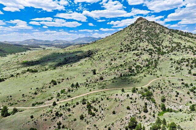 TRACT3 County Road 102, Guffey, CO 80820 - photo 6