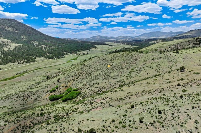 TRACT3 County Road 102, Guffey, CO 80820 - photo 8