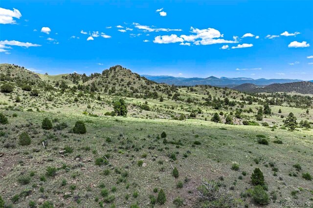 TRACT3 County Road 102, Guffey, CO 80820 - photo 12