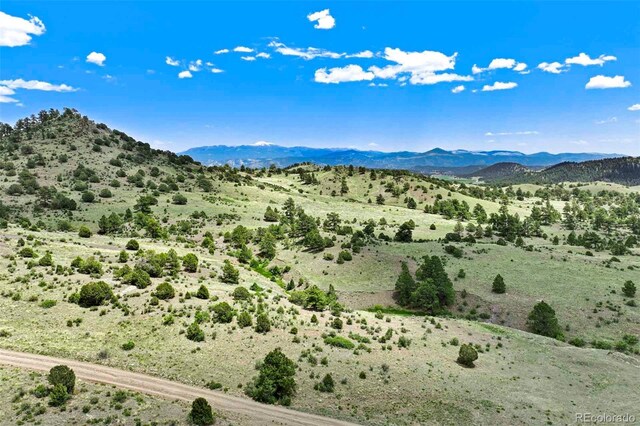 TRACT3 County Road 102, Guffey, CO 80820 - photo 13