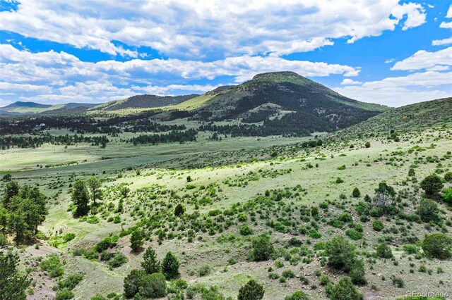 TRACT3 County Road 102, Guffey, CO 80820 - photo 14