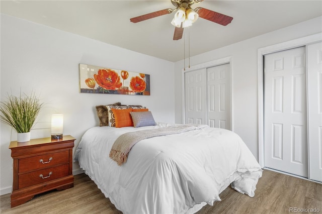 bedroom with two closets, ceiling fan, and wood finished floors