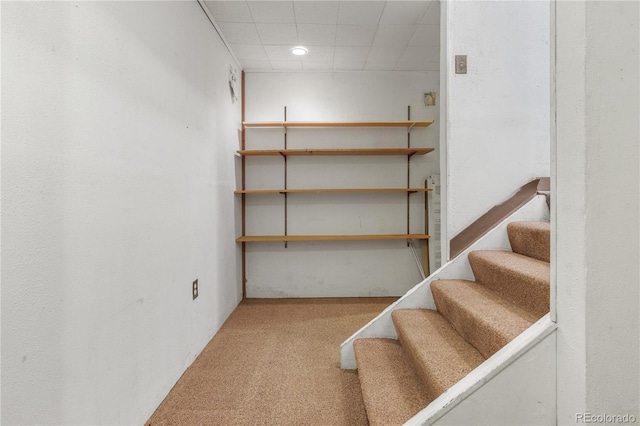 below grade area with stairs, carpet, and a drop ceiling