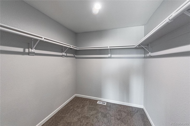 467 S Laporte Dr, Pueblo, CO 81007 - photo 43