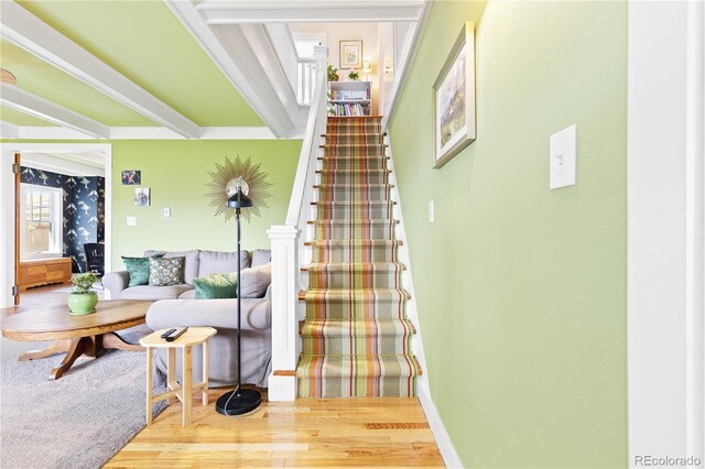 7835 Valley View St, Louviers, CO 80131 - stairs featuring wood finished floors, ornamental molding, and baseboards