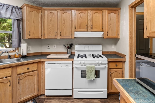 325 Ravine Way, Brighton, CO 80603 - photo 18