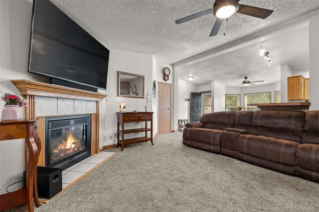 325 Ravine Way, Brighton, CO 80603 - photo 22