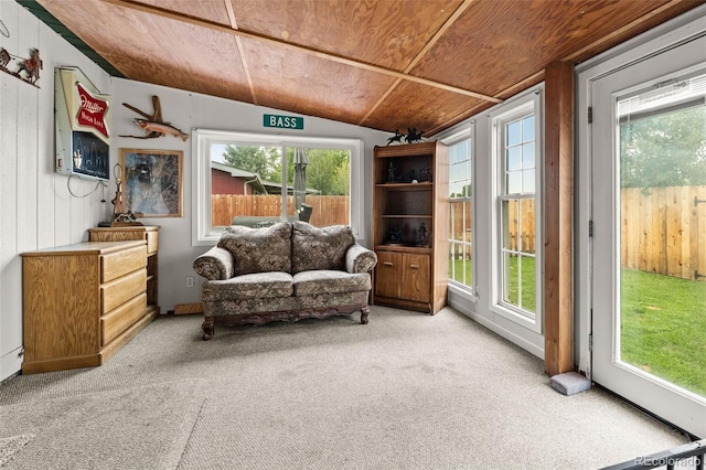 325 Ravine Way, Brighton, CO 80603 - photo 41
