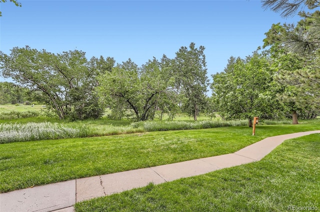 3315 S Ammons St Unit 103, Lakewood, CO 80227 - photo 36