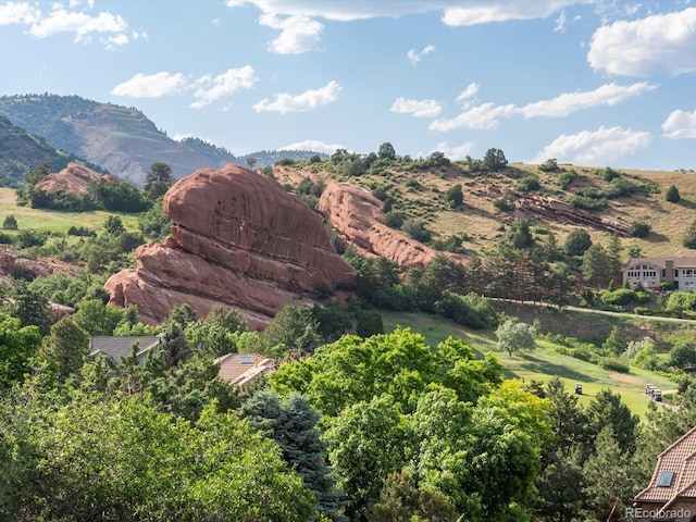 16465 Wild Berry Rd, Morrison, CO 80465 - photo 43