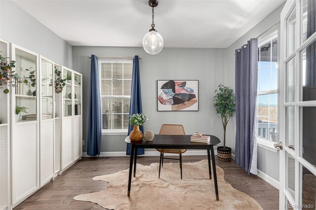 office featuring hardwood / wood-style flooring and french doors