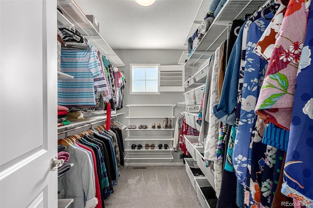 spacious closet with carpet