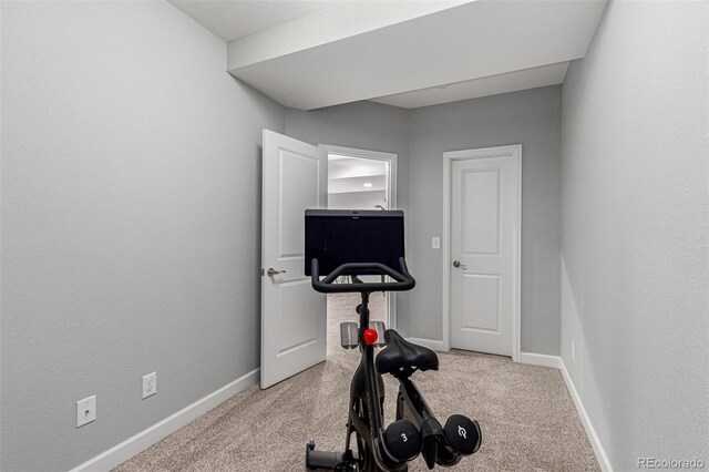 workout area featuring carpet floors