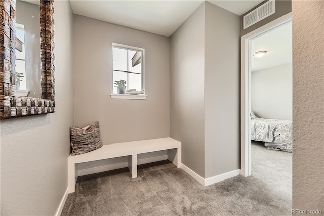 1182 Williams Loop, Elizabeth, CO 80107 - photo 26