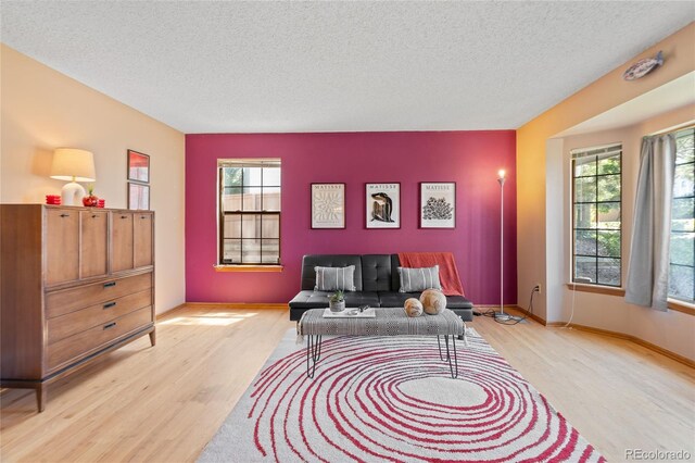 9447 Chesapeake St, Highlands Ranch, CO 80126 - living area featuring a textured ceiling, wood finished floors, and healthy amount of natural light