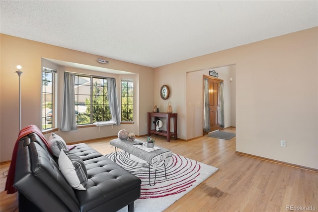 9447 Chesapeake St, Highlands Ranch, CO 80126 - living room featuring light wood finished floors and baseboards