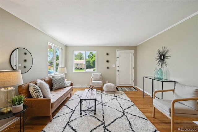 1646 S Stuart St, Denver, CO 80219 - living area with ornamental molding, wood finished floors, baseboards, and a baseboard radiator