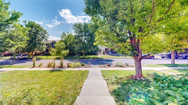 14230 Lakeview Ln, Broomfield, CO 80023 - view of grassy yard