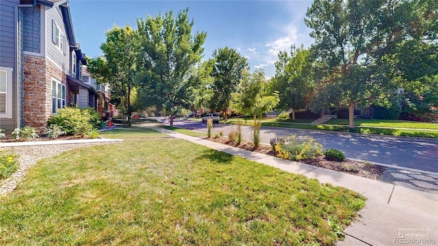 14230 Lakeview Ln, Broomfield, CO 80023 - view of grassy yard